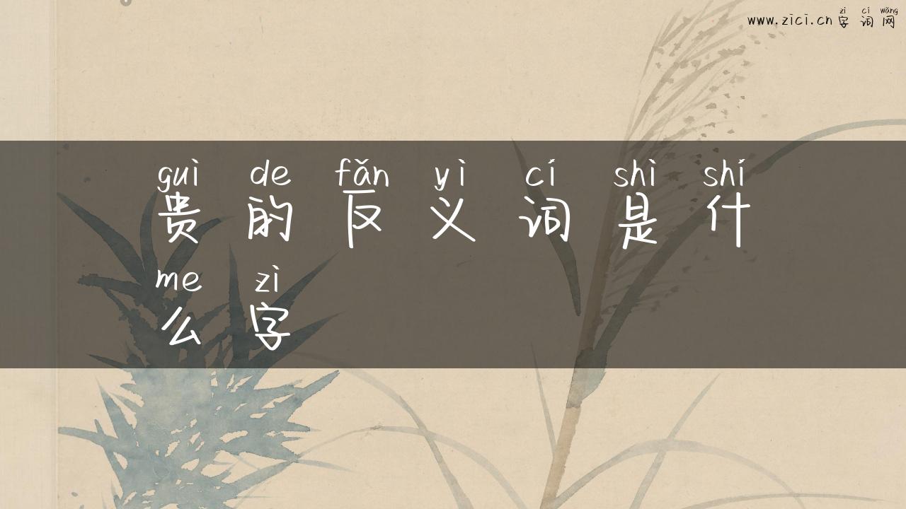 贵的反义词是什么字