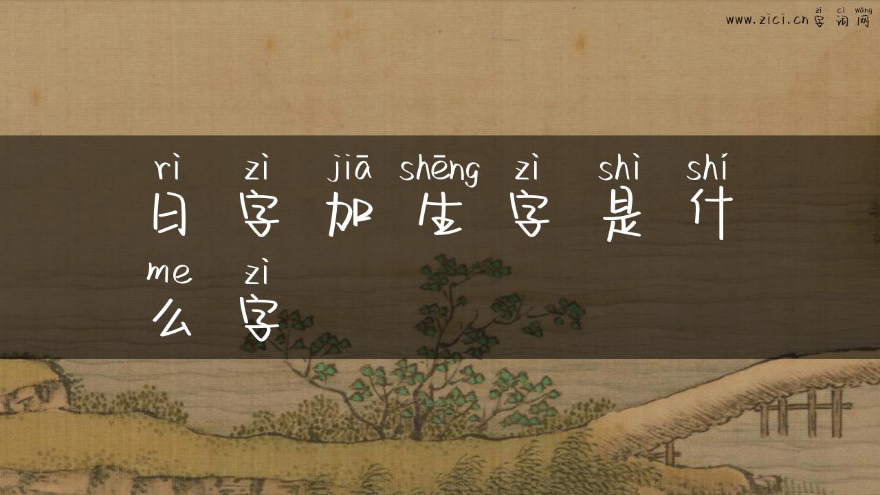 日字加生字是什么字