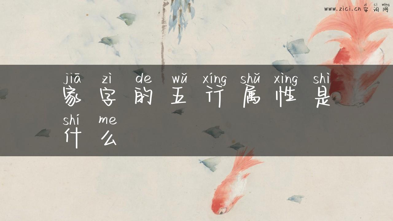 家字的五行属性是什么