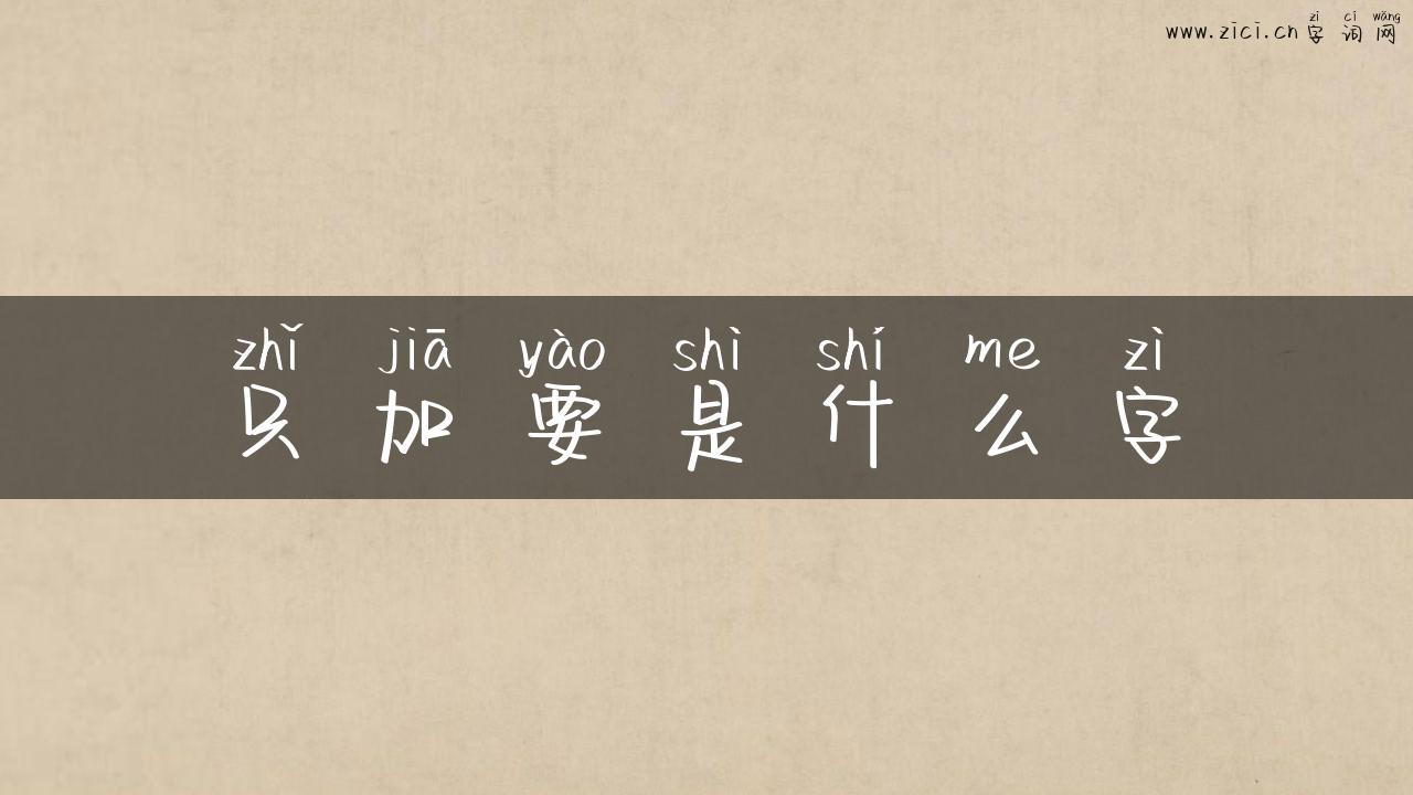只加要是什么字