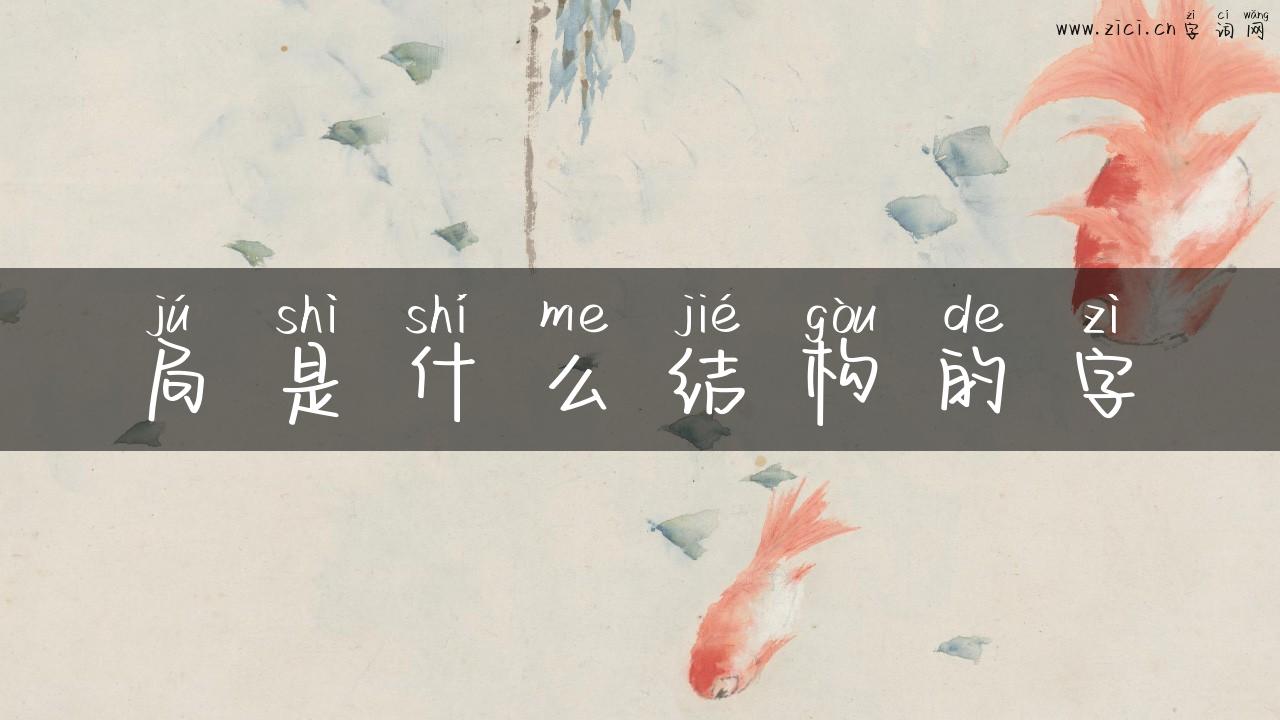 局是什么结构的字