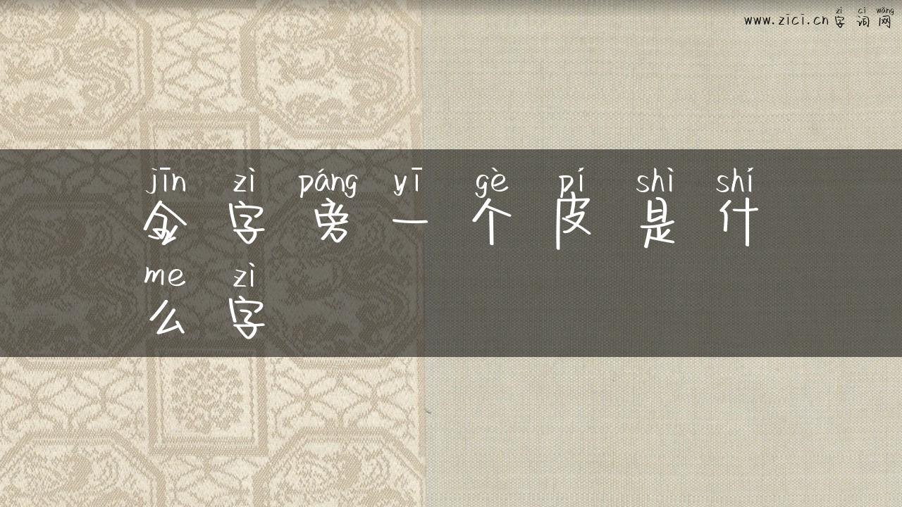 金字旁一个皮是什么字