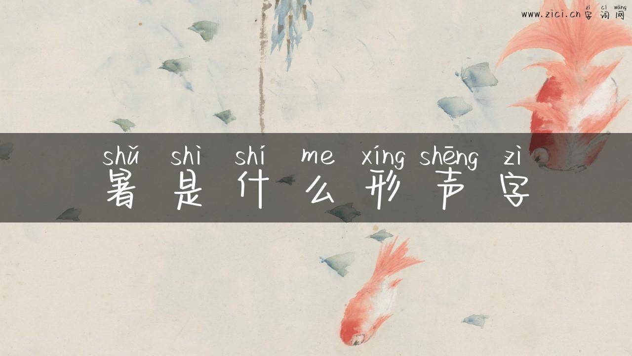 暑是什么形声字