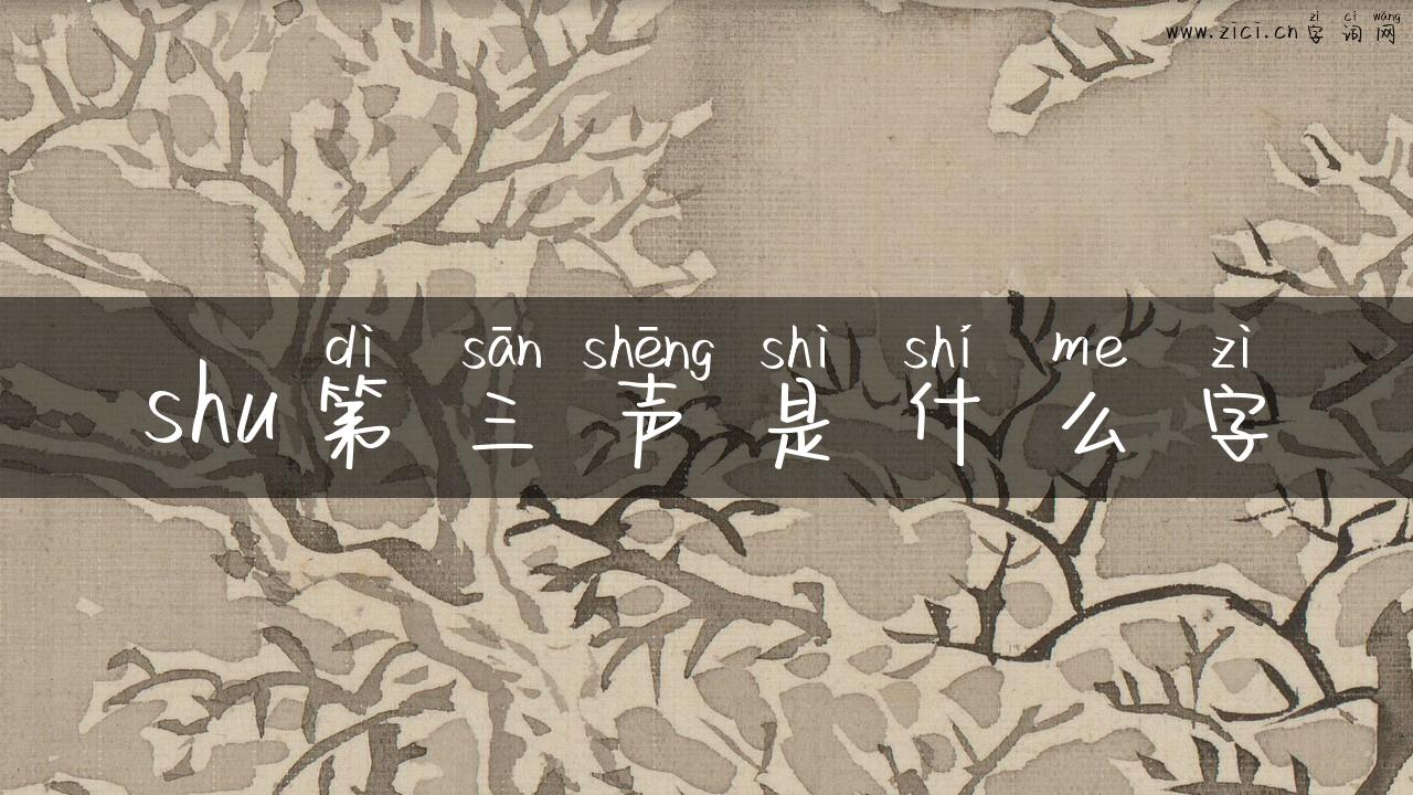 shu第三声是什么字