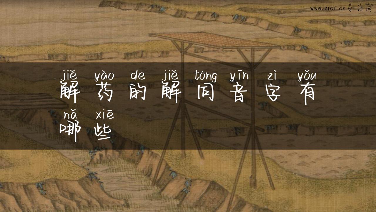 解药的解同音字有哪些
