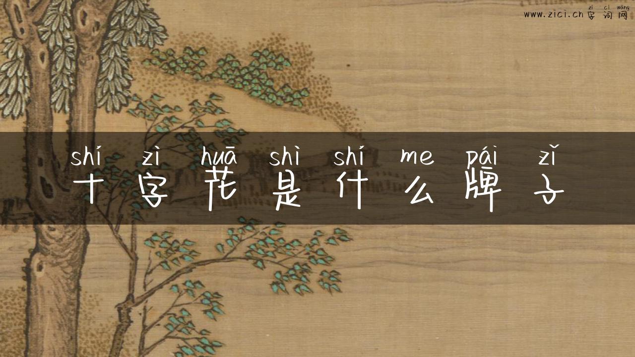 十字花是什么牌子