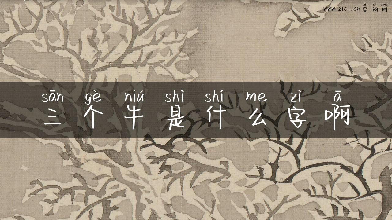 三个牛是什么字啊