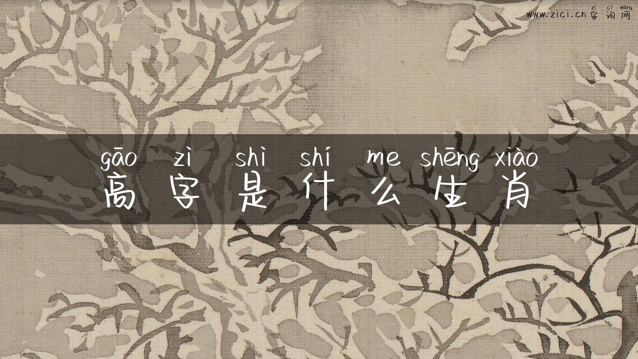 高字是什么生肖