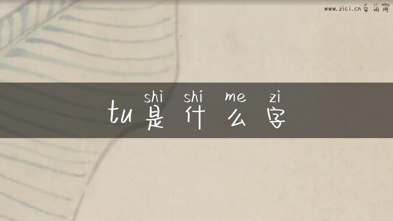 tu是什么字