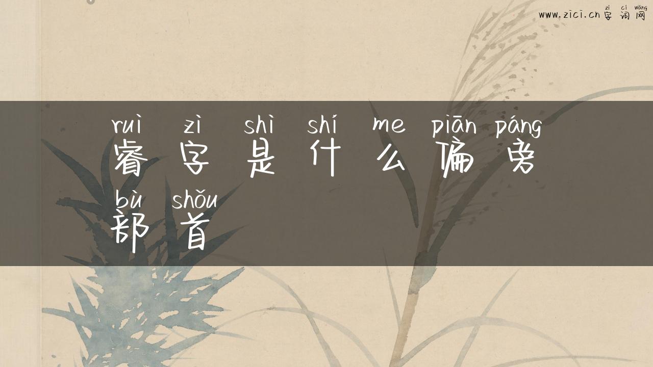 睿字是什么偏旁部首