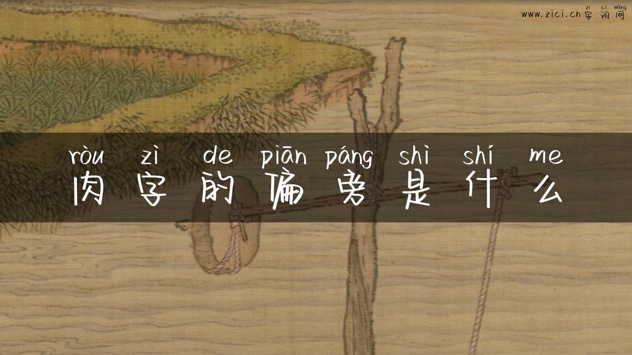 肉字的偏旁是什么