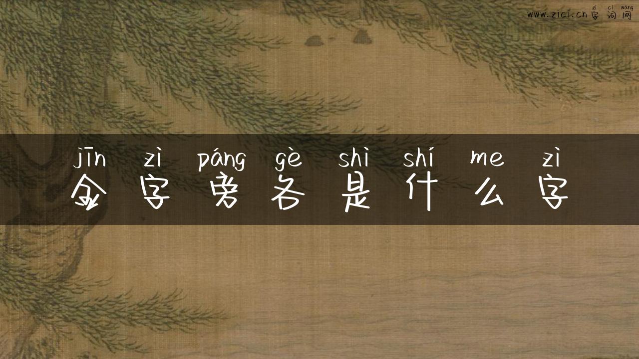 金字旁各是什么字