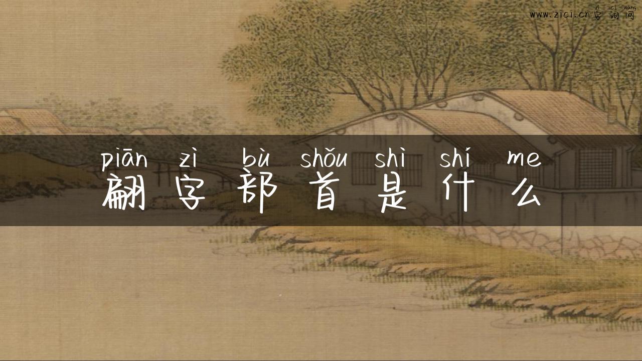 翩字部首是什么