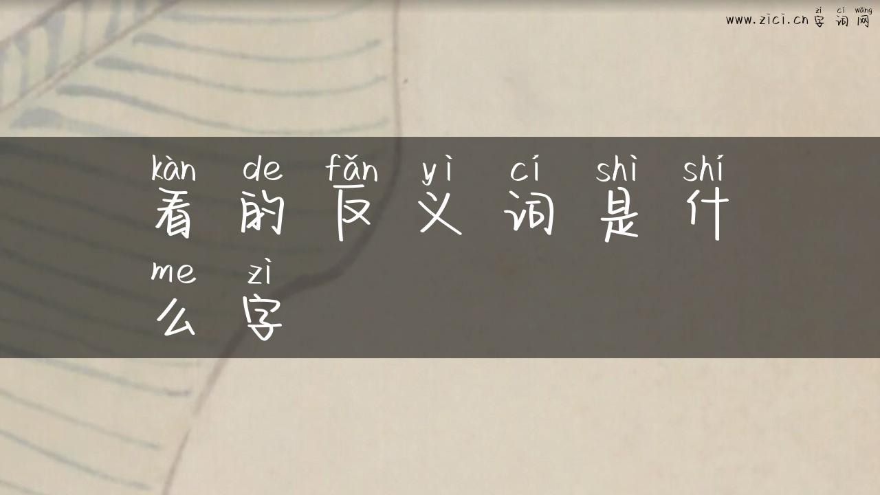 看的反义词是什么字