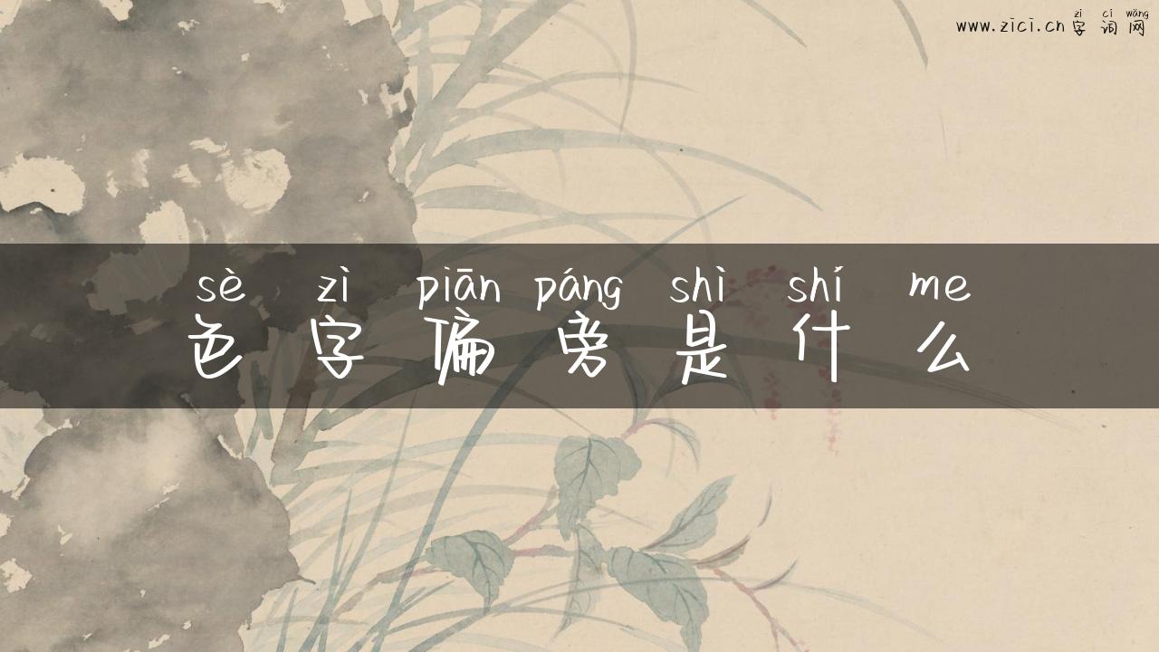 色字偏旁是什么