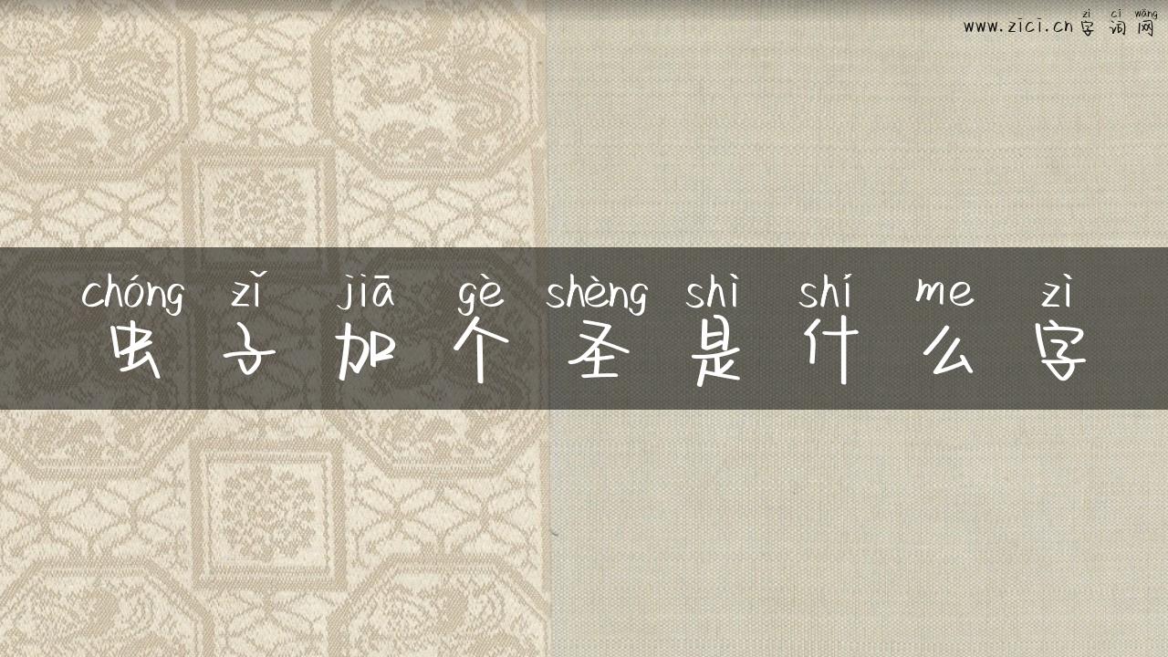 虫子加个圣是什么字