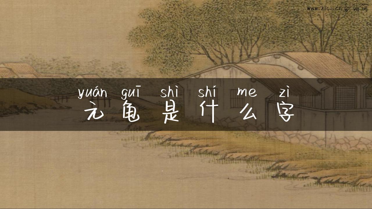 元龟是什么字