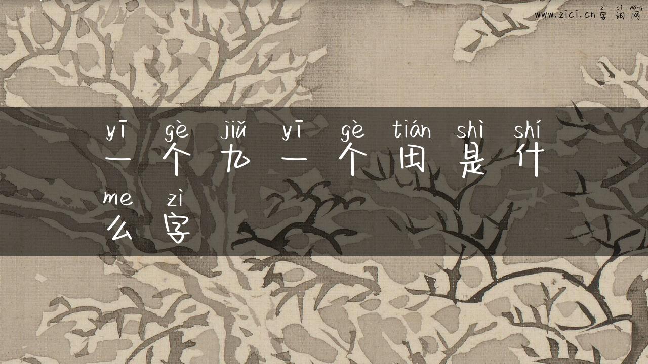 一个九一个田是什么字