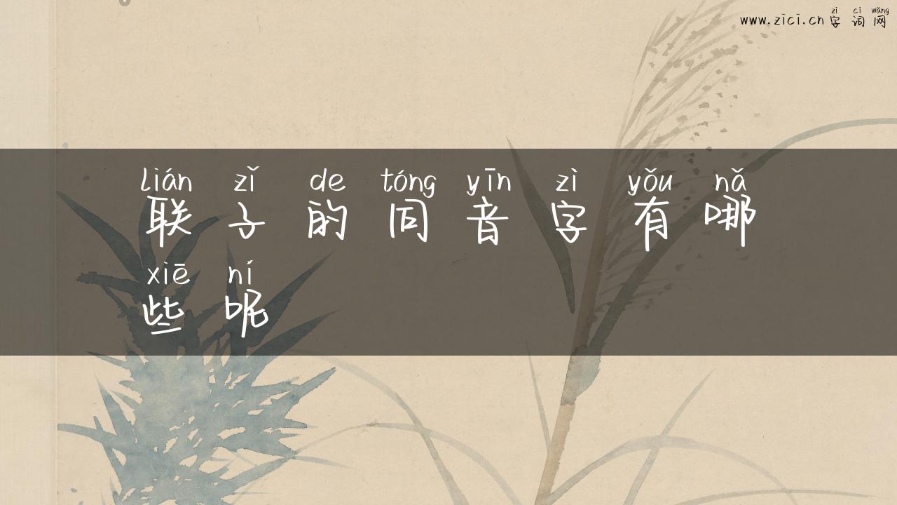 联子的同音字有哪些呢