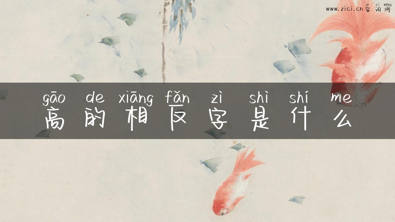高的相反字是什么