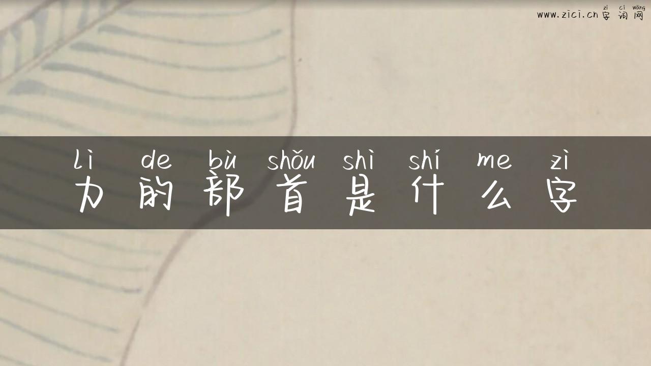 力的部首是什么字