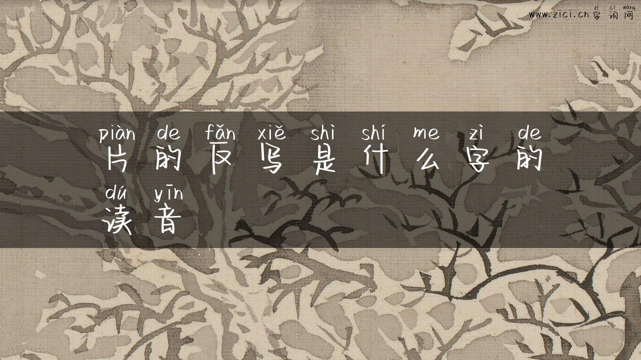 片的反写是什么字的读音
