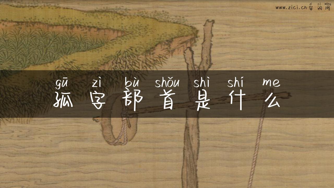 孤字部首是什么