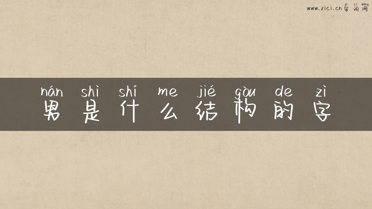 男是什么结构的字