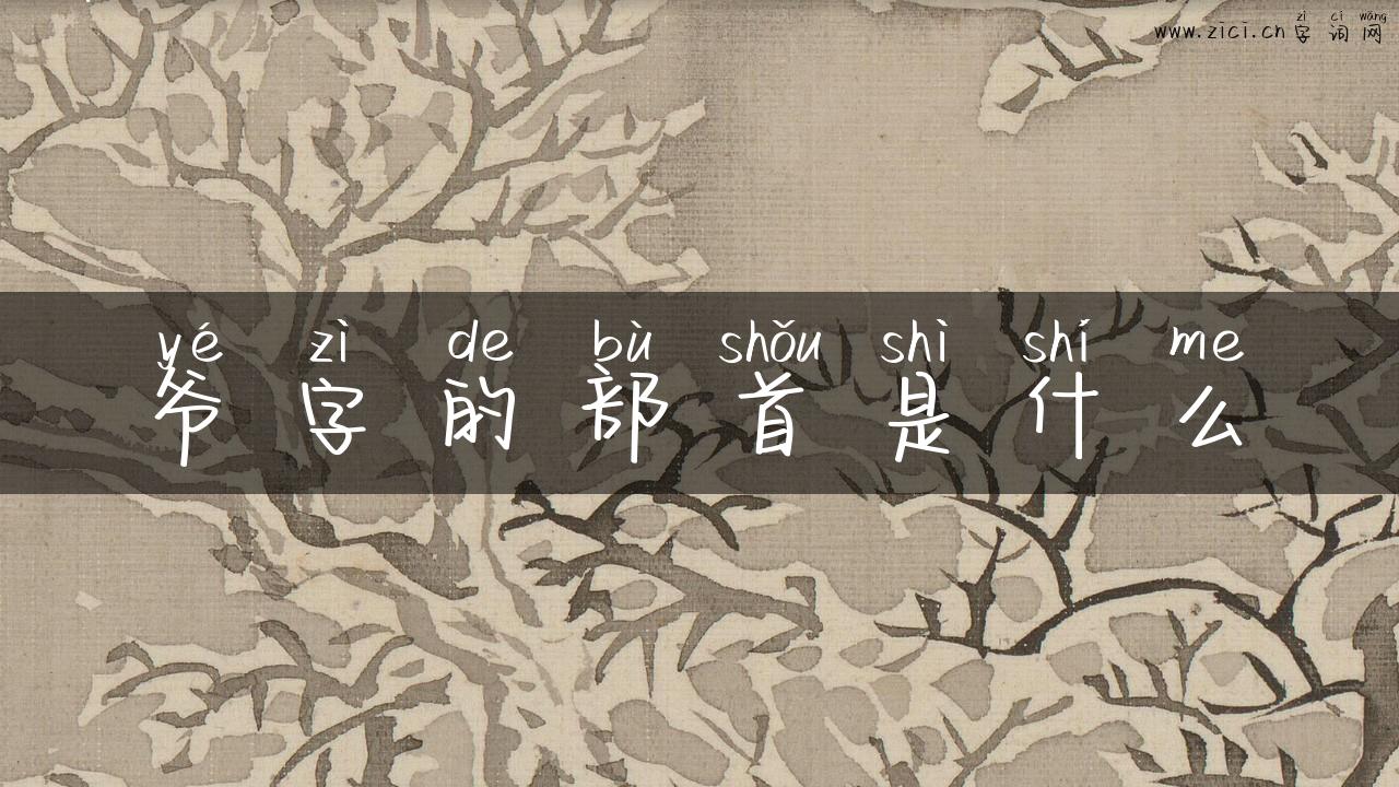 爷字的部首是什么