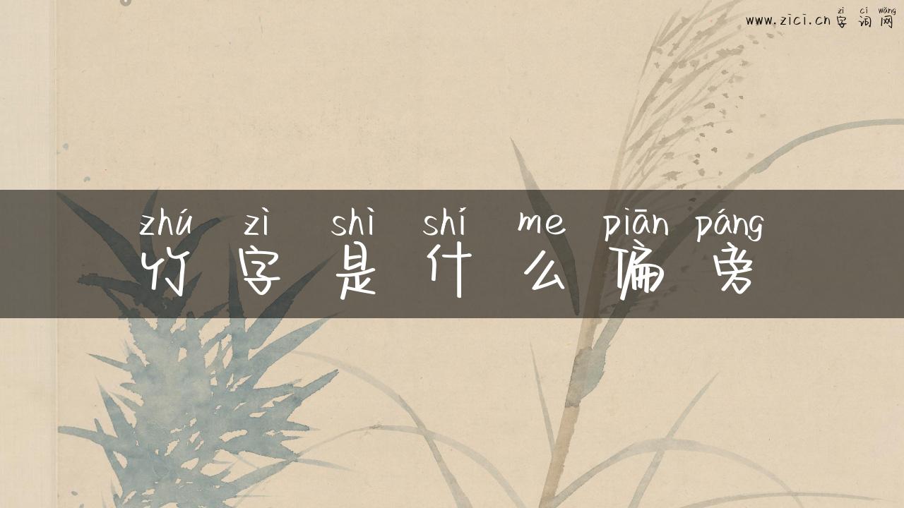 竹字是什么偏旁