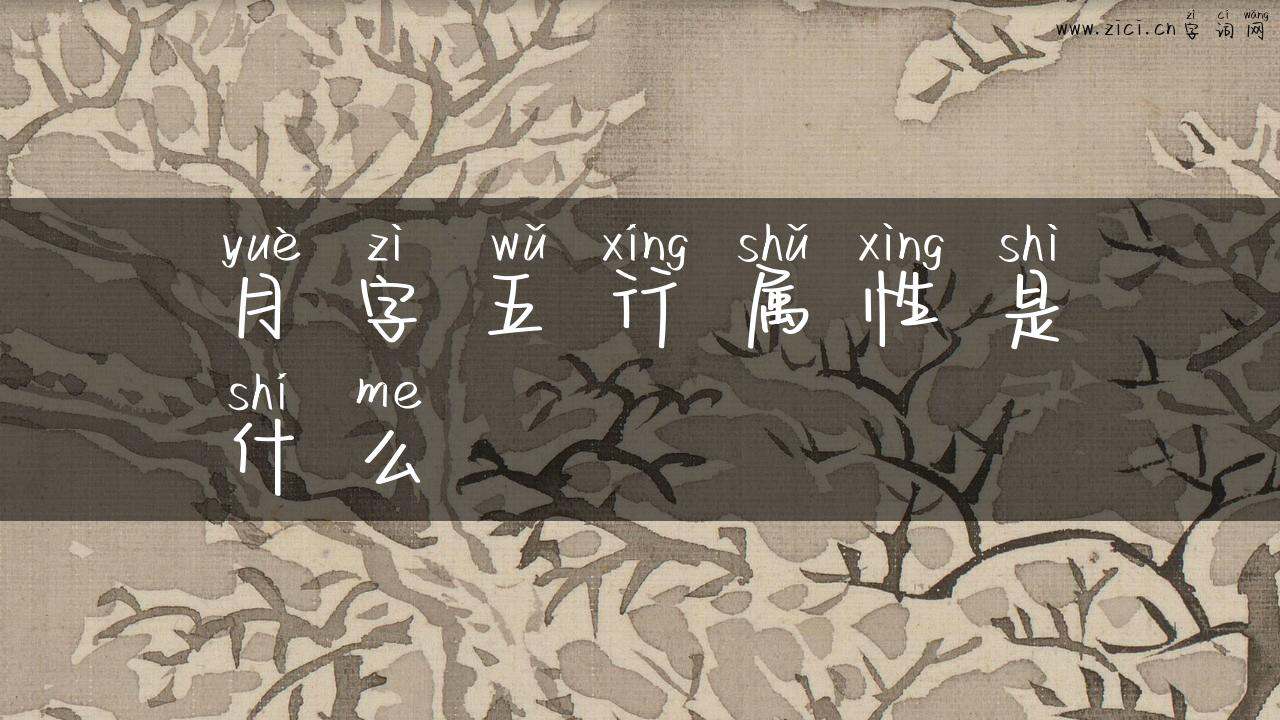 月字五行属性是什么