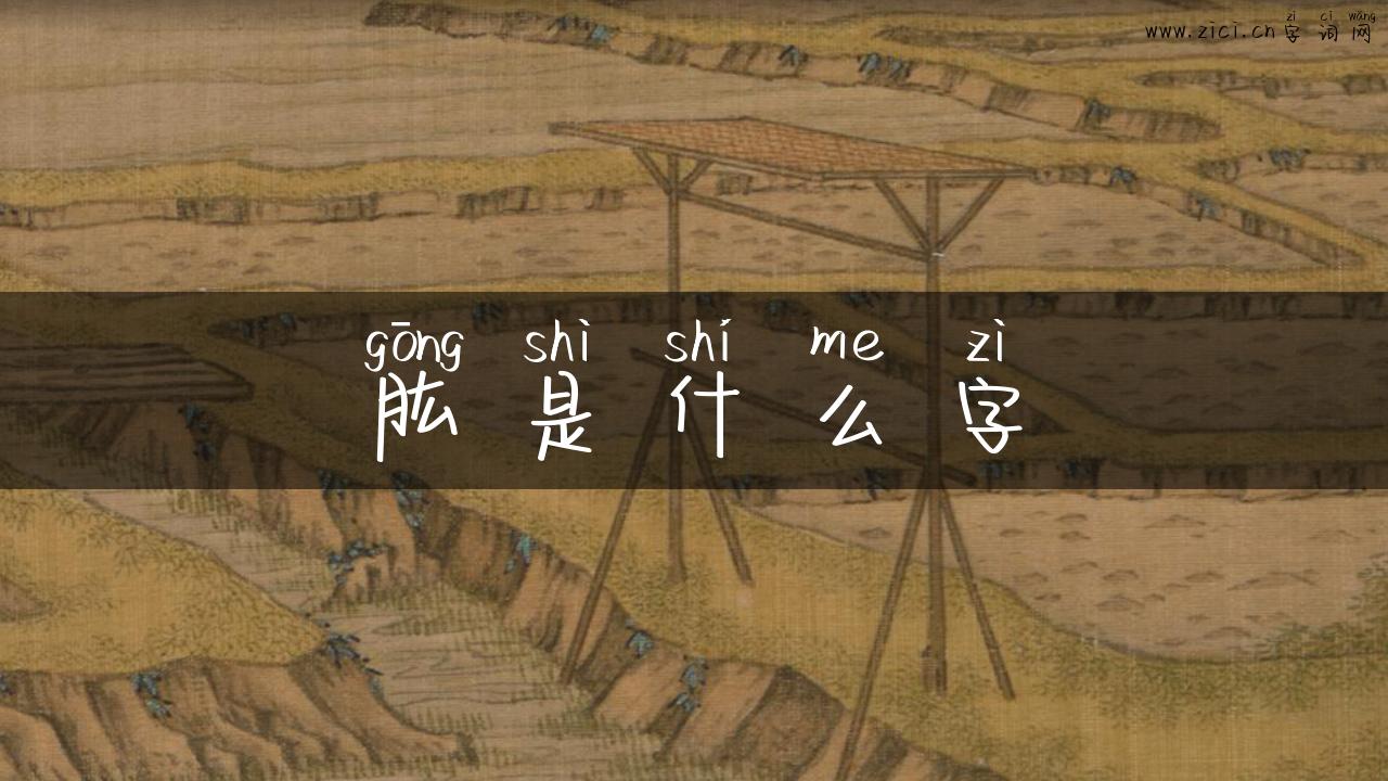 肱是什么字