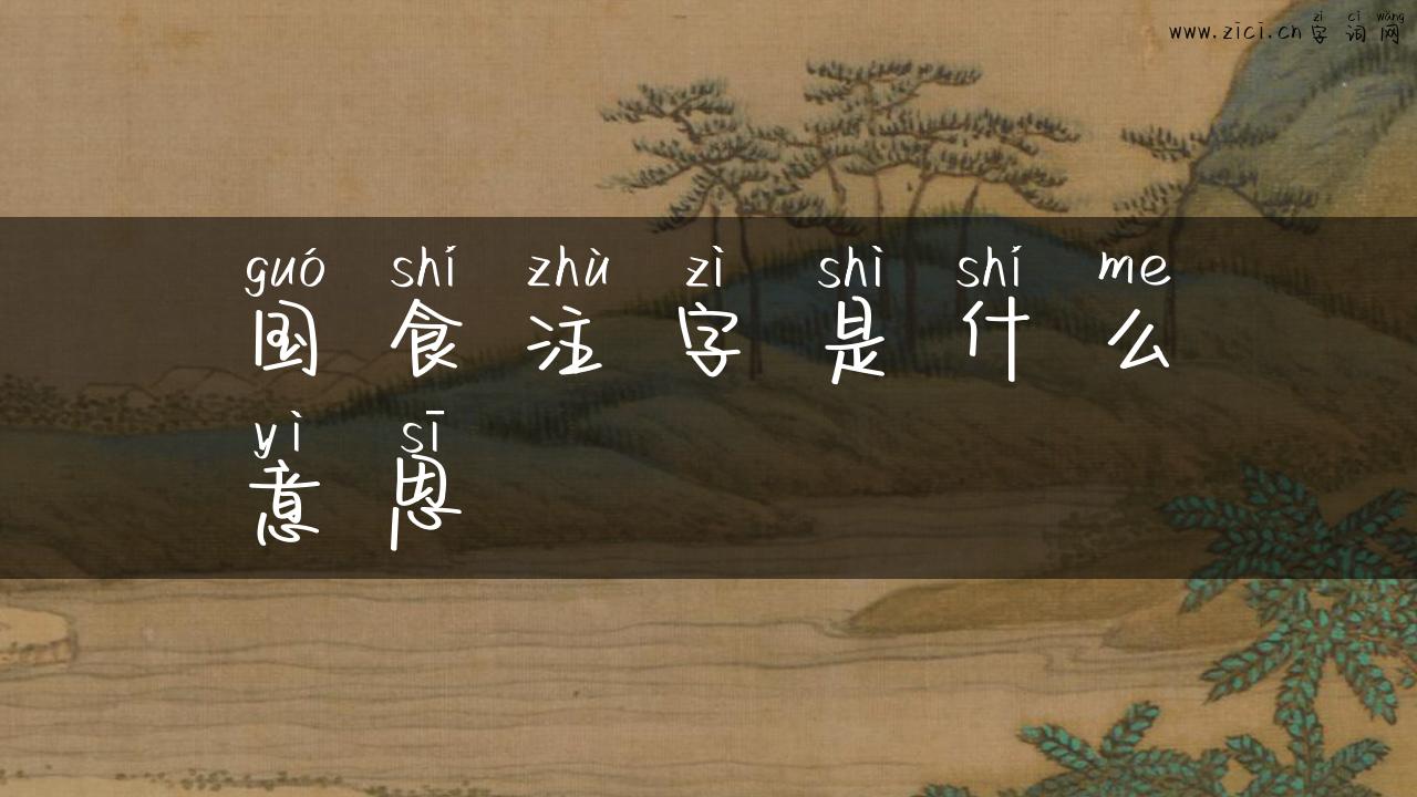 国食注字是什么意思