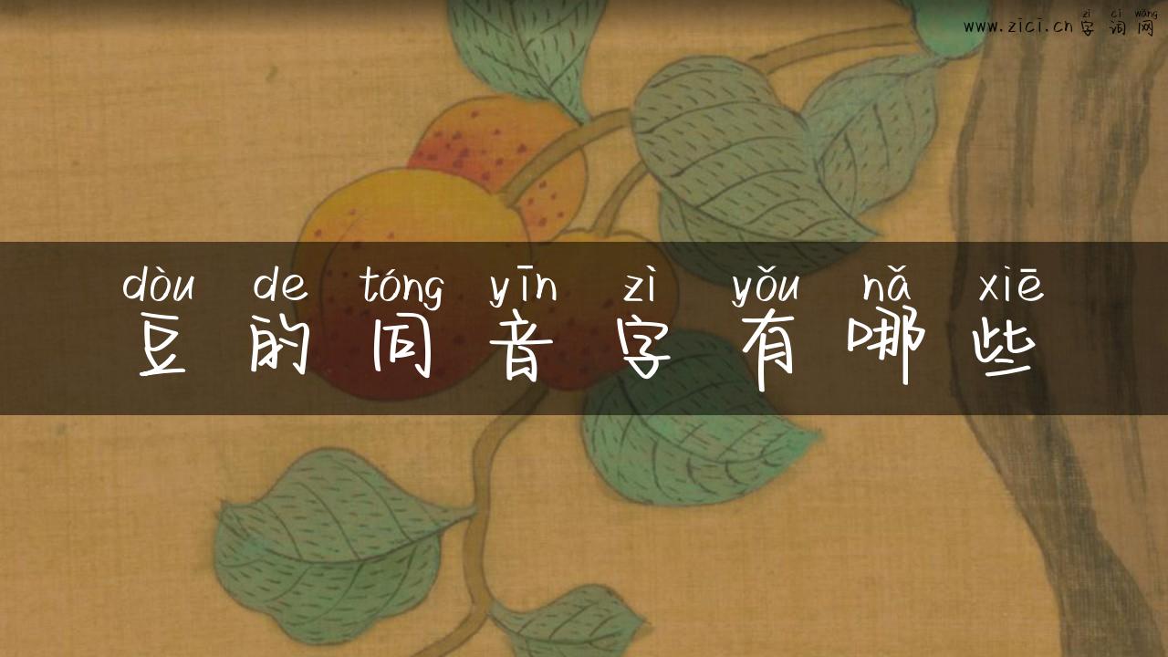 豆的同音字有哪些