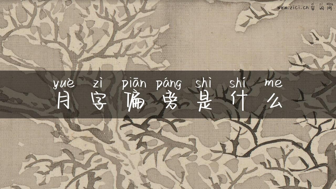 月字偏旁是什么