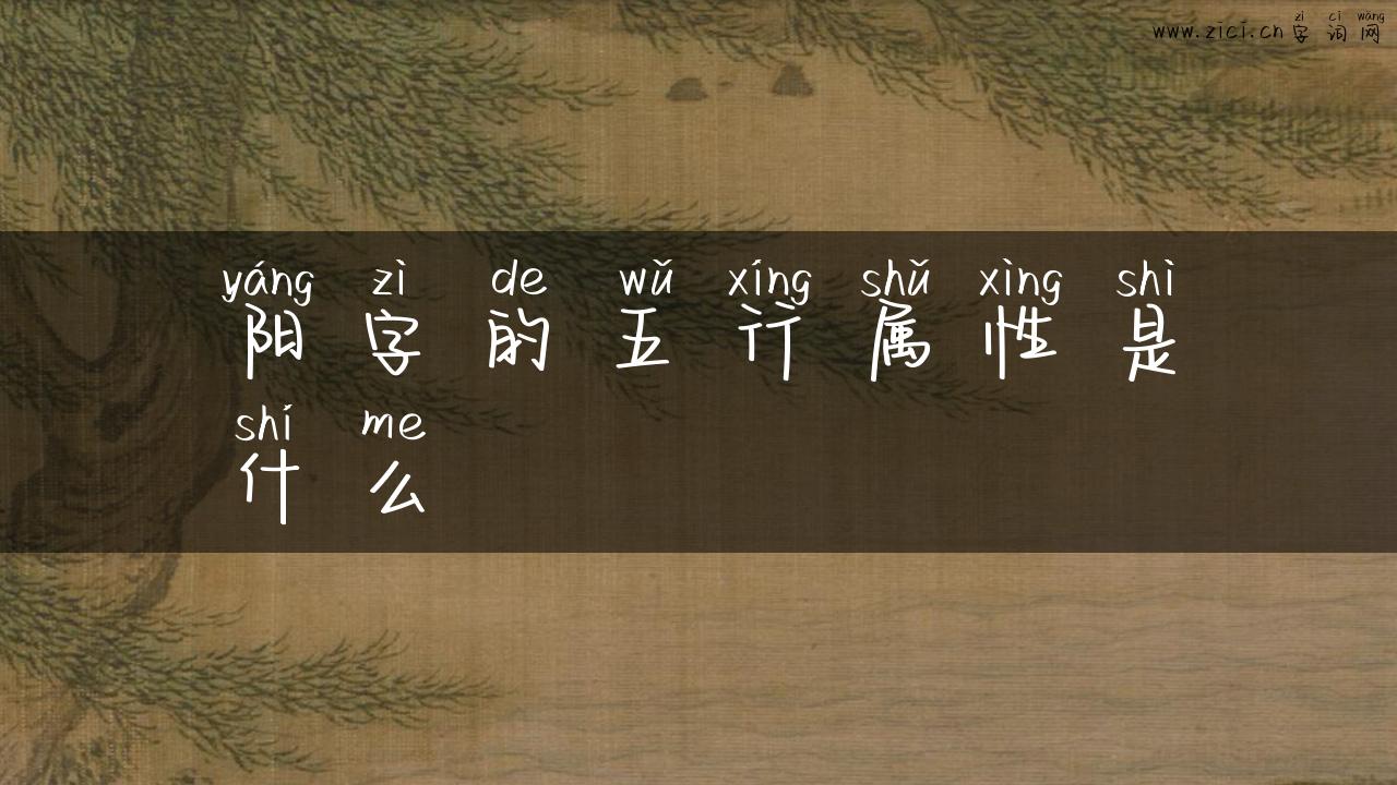 阳字的五行属性是什么