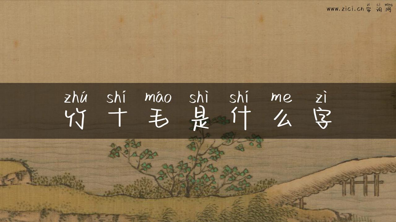 竹十毛是什么字