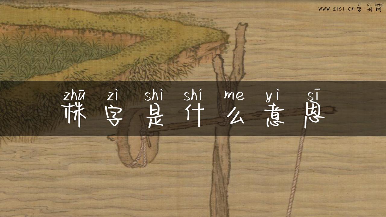 株字是什么意思