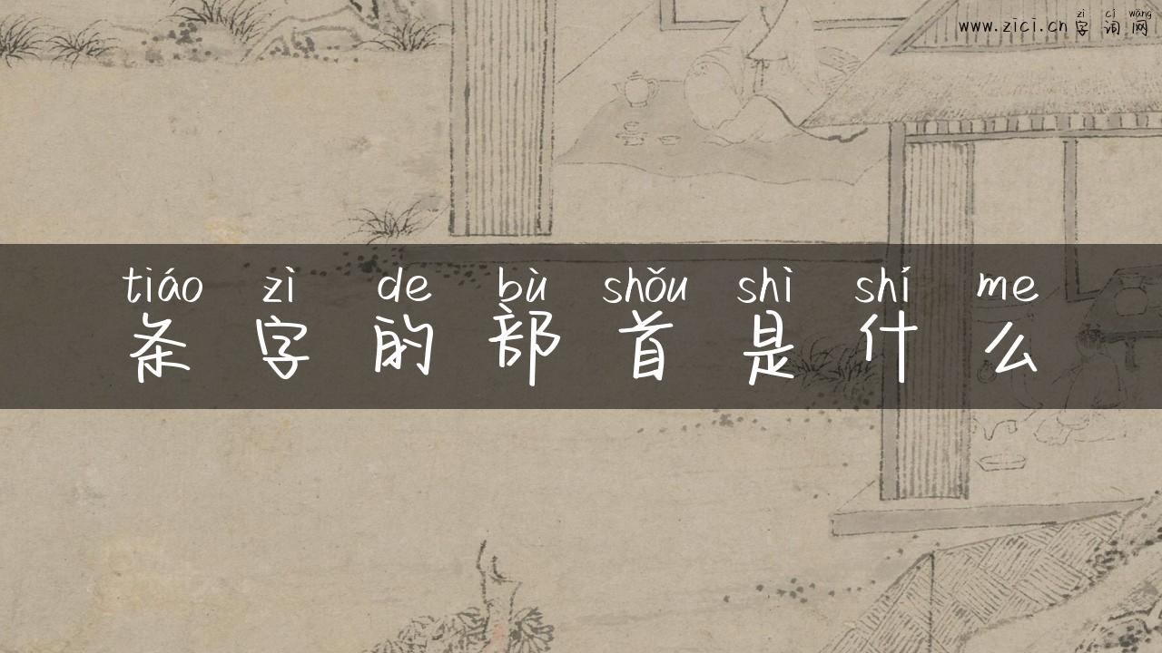 条字的部首是什么