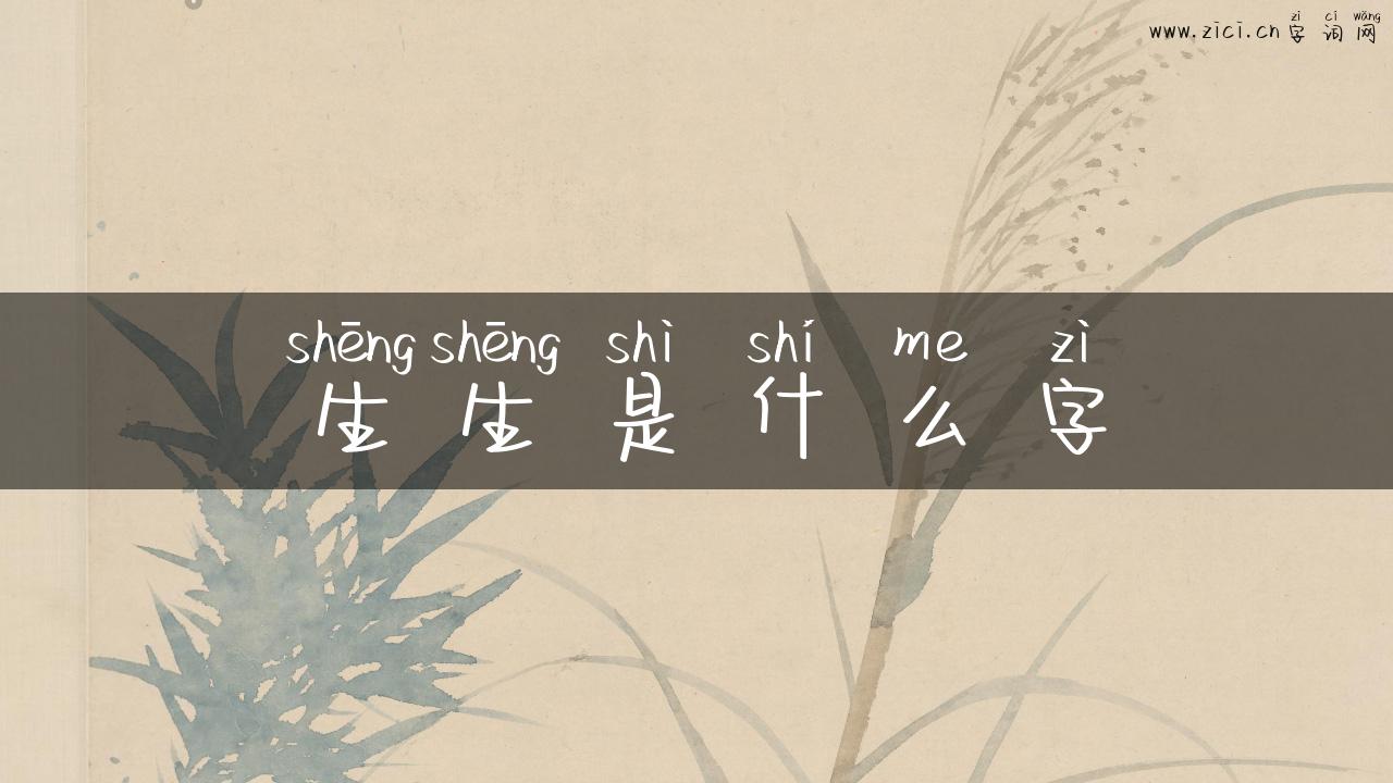 生生是什么字