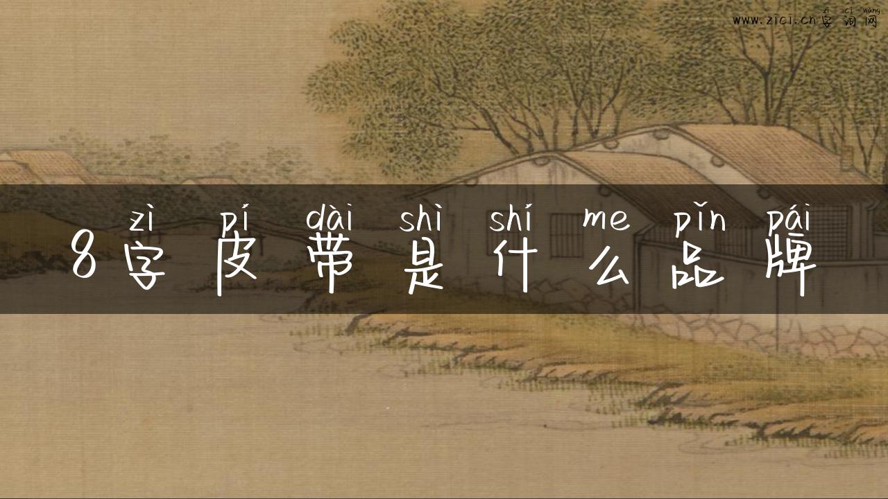 8字皮带是什么品牌