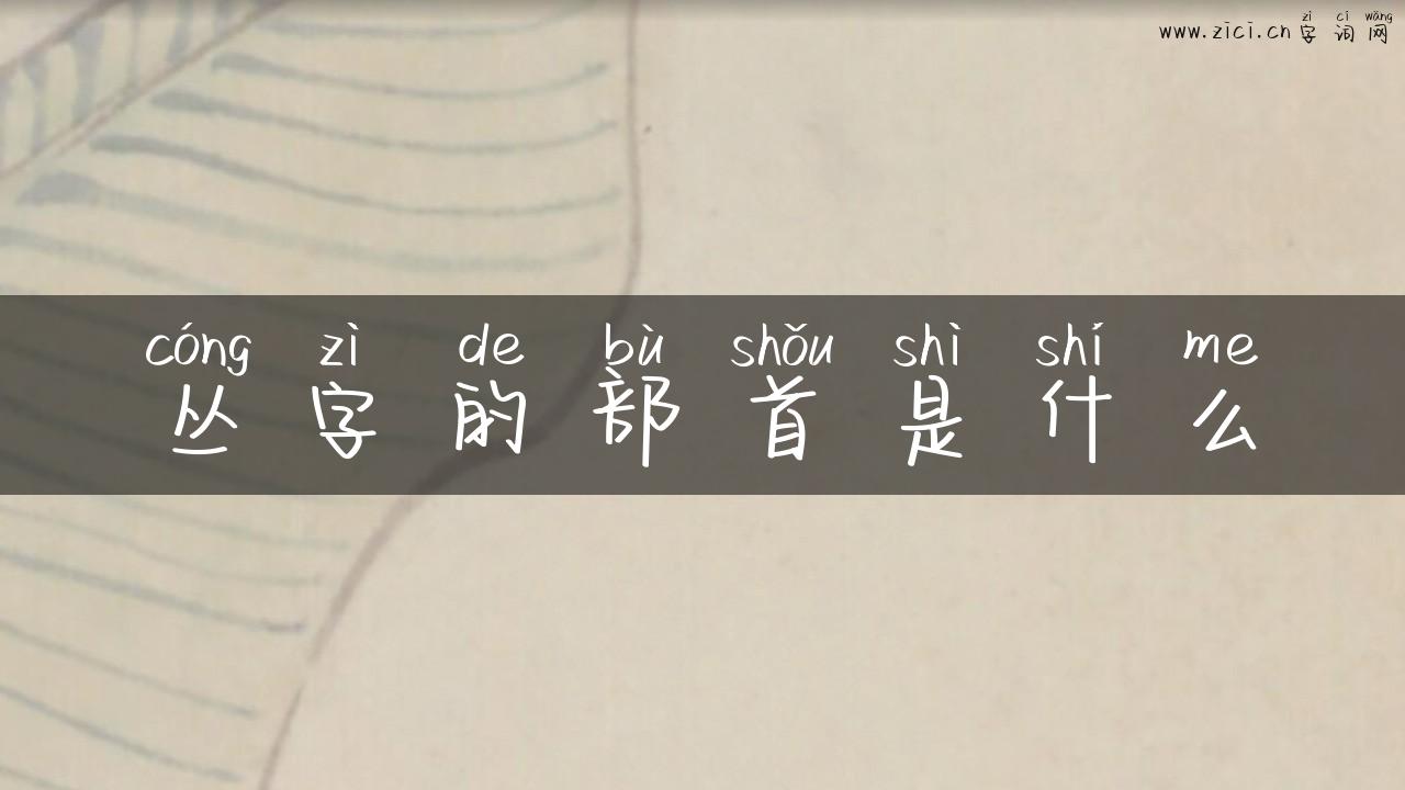 丛字的部首是什么