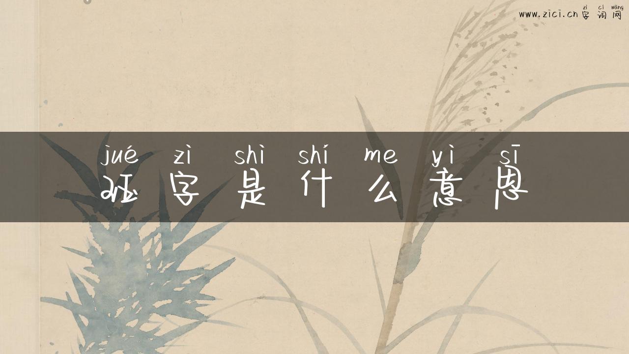 珏字是什么意思