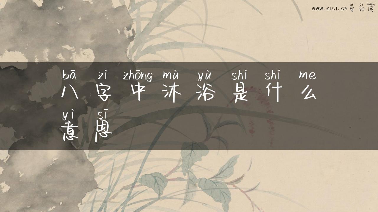 八字中沐浴是什么意思
