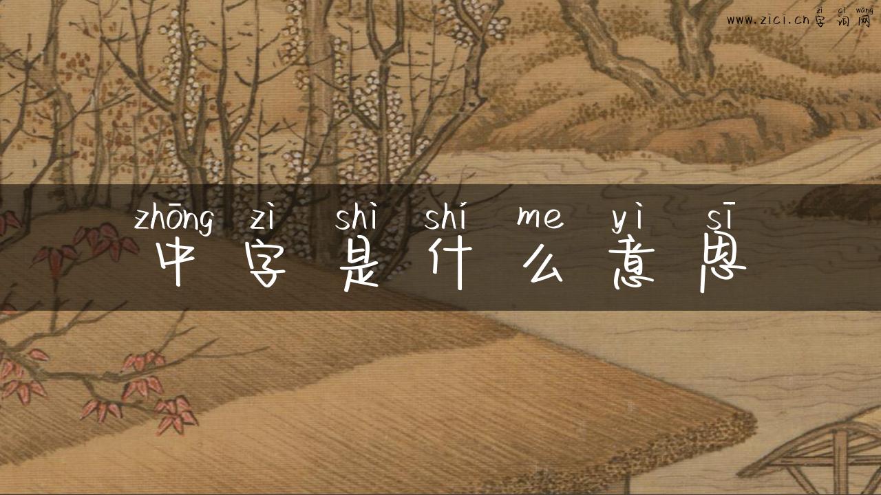 中字是什么意思