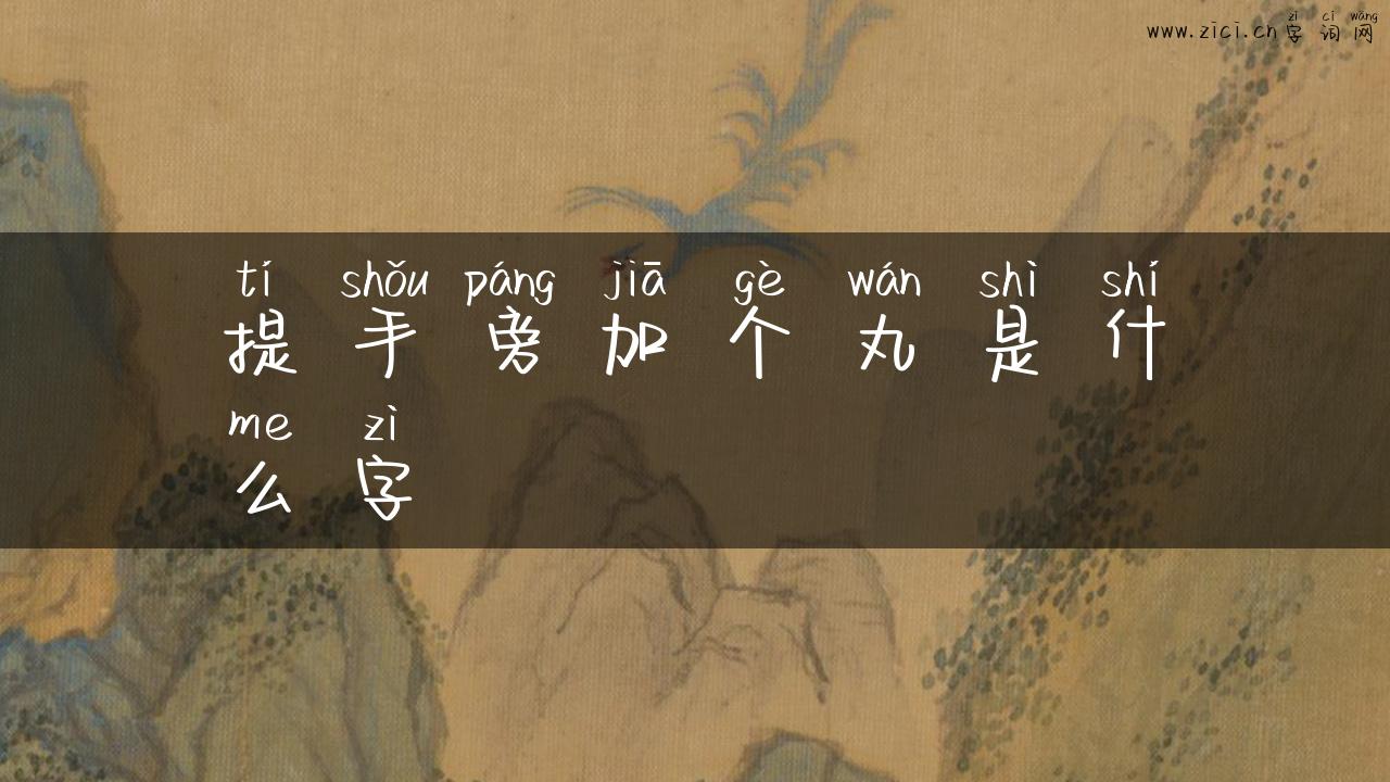 提手旁加个丸是什么字