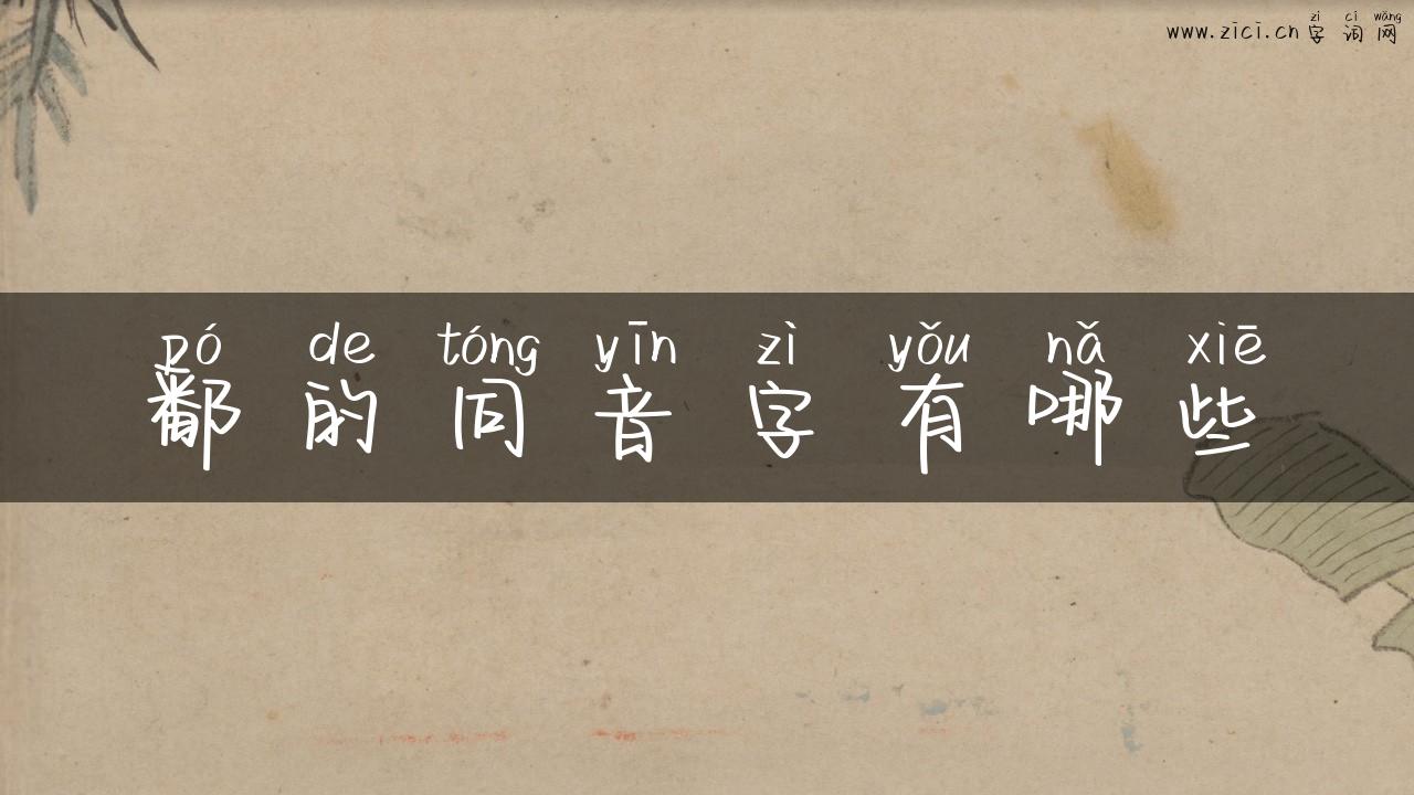 鄱的同音字有哪些