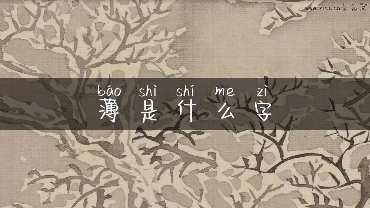 薄是什么字