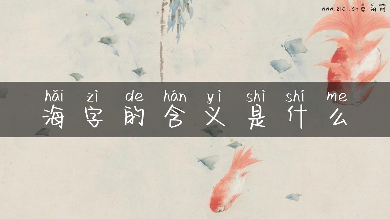海字的含义是什么