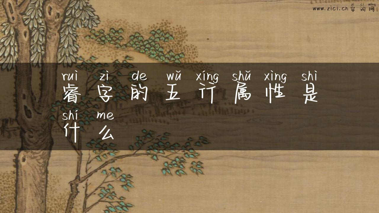 睿字的五行属性是什么
